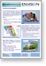 Coastal Management