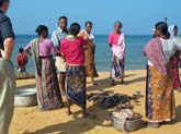 Coastal Zone Management in India